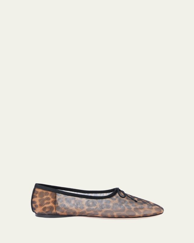 Landon Leopard Mesh Ballet Flats